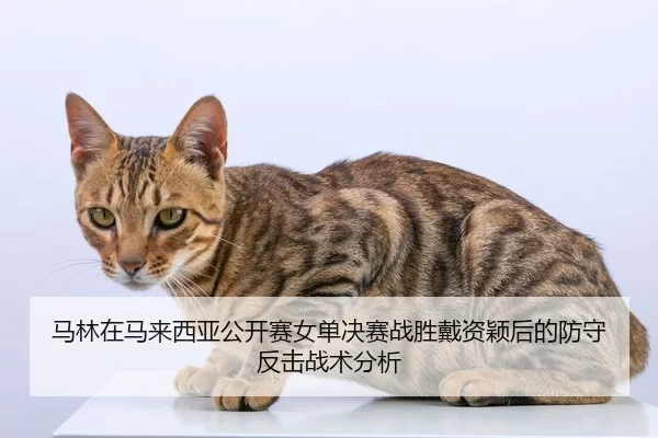 ma-lin-zai-ma-lai-xi-ya-gong-kai-sai-nv-dan-jue-sai-zhan-sheng-dai-zi-ying-hou-de-fang-shou-fan-ji-zhan-shu-fen-xi-2-790.jpg